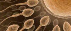 clinicas-de-fertilizacao-humana-em-campinas-1426205530