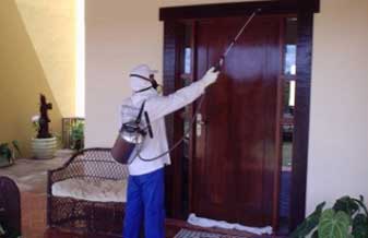 Dedetização Real Líder - Foto 1