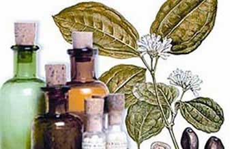 Farmácia de Homeopatia Hahnemann - Foto 1