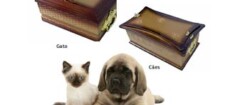 funeraria-animal-em-campinas-1426086703