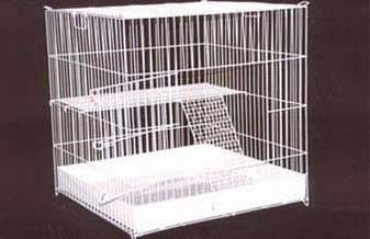 Pet Shop Arca dos Bichos - Foto 1