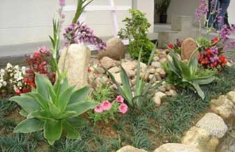 Ultraverde Jardinagem - Foto 1