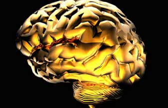 Instituto do Cerebro - Foto 1