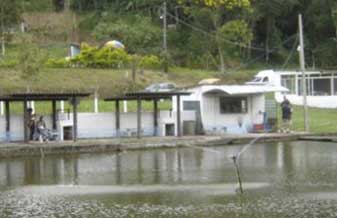 Pesqueiro Green Fish - Foto 1