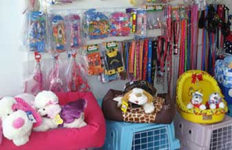 PetCamp Express - Foto 1