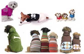 Pet Shop Patas de Ouro - Foto 1