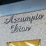 ASSUMPTA DION – Parque Dom Pedro Shopping - Foto 1