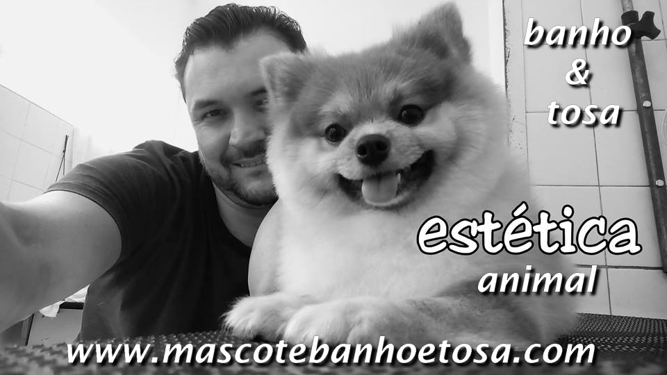 Mascote Banho e Tosa Jambeiro Campinas - Foto 1