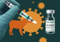 Prefeitura Municipal de Campinas