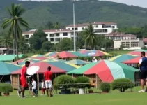 cotas para negros e indígenas em concursos públicos