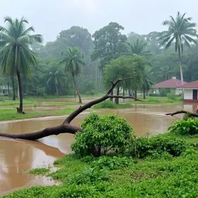 chuva em campinas