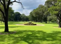 Prefeitura Municipal de Campinas