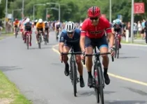 Prefeitura Municipal de Campinas