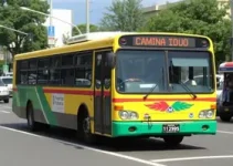 reajuste tarifa ônibus Campinas