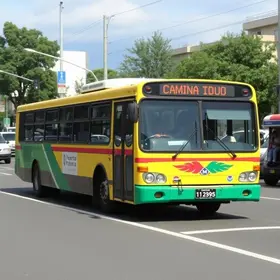 reajuste tarifa ônibus Campinas