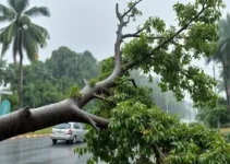 chuva em Campinas