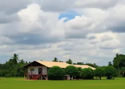 Últimas noticias de Campinas