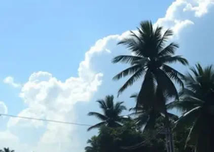 Últimas noticias de Campinas