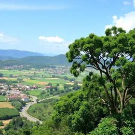 orçamento para mudanças climáticas
