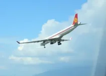 avião retorna a Campinas