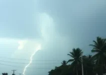 alerta amarelo