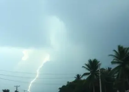 Últimas noticias de Campinas