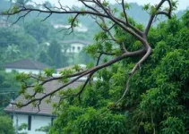 chuva em Campinas