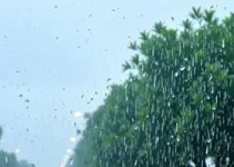 chuva em Campinas