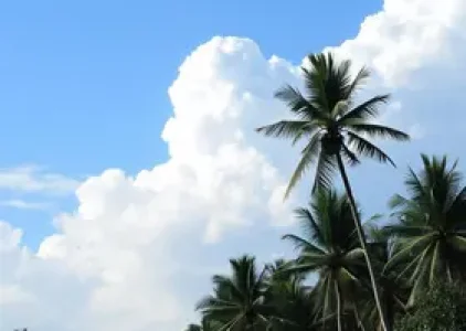 Últimas noticias de Campinas