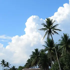 previsão do tempo em campinas