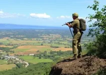segurança da terra