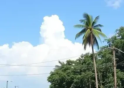 Últimas noticias de Campinas