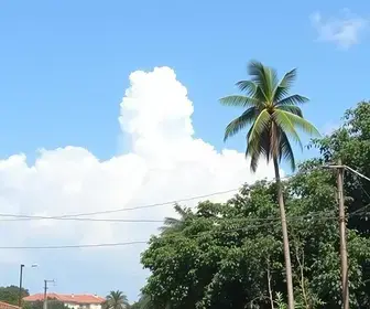 Portal da Prefeitura de Campinas