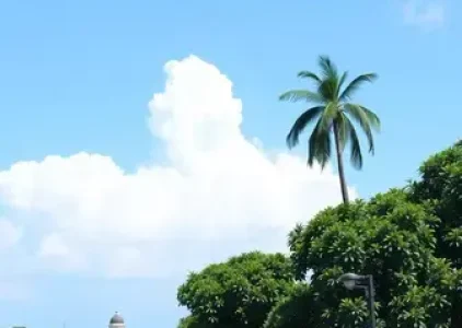 Últimas noticias de Campinas