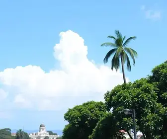 concurso Campinas SP