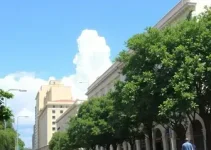 Portal da Prefeitura de Campinas